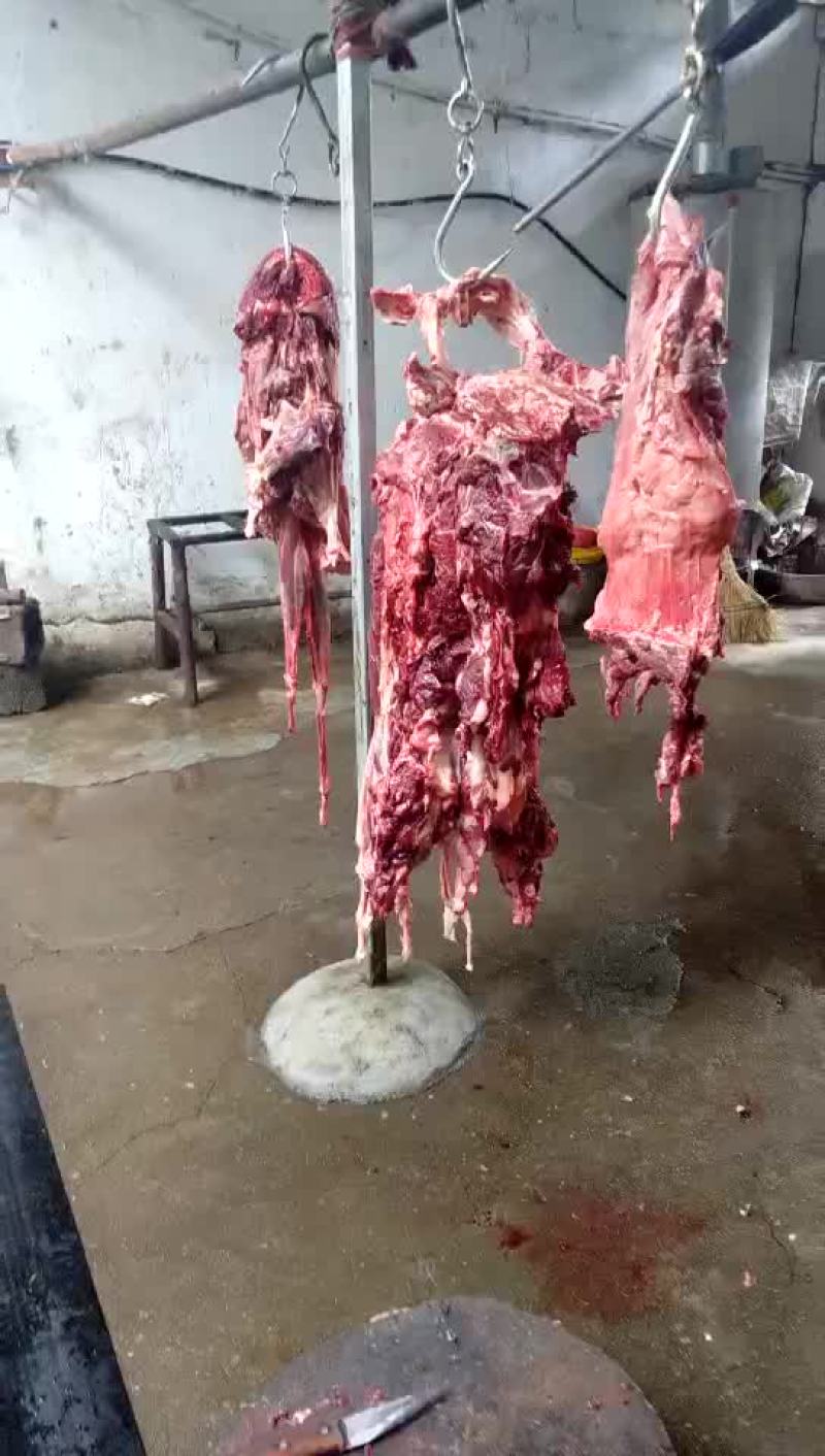驴肉