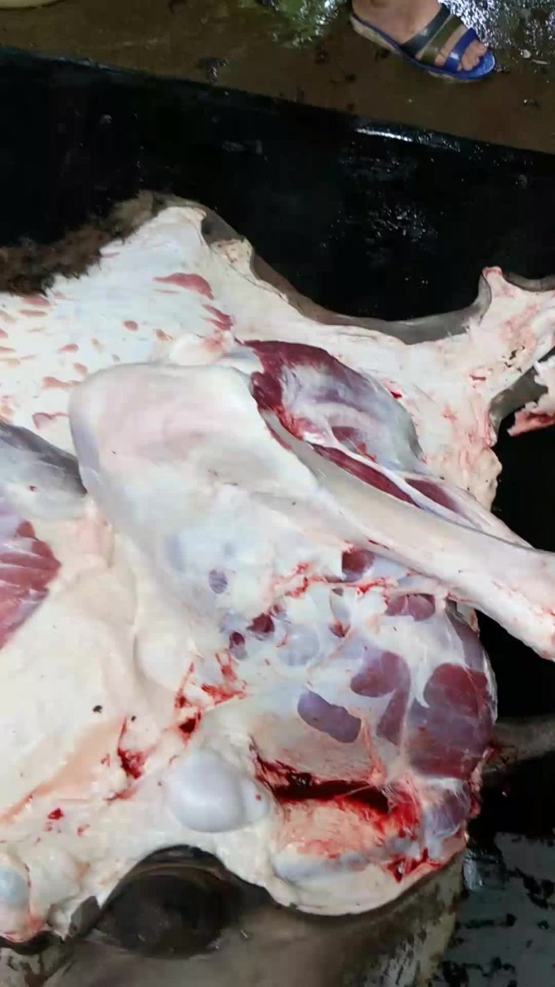 新鲜驴肉