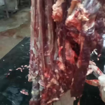 驴肉