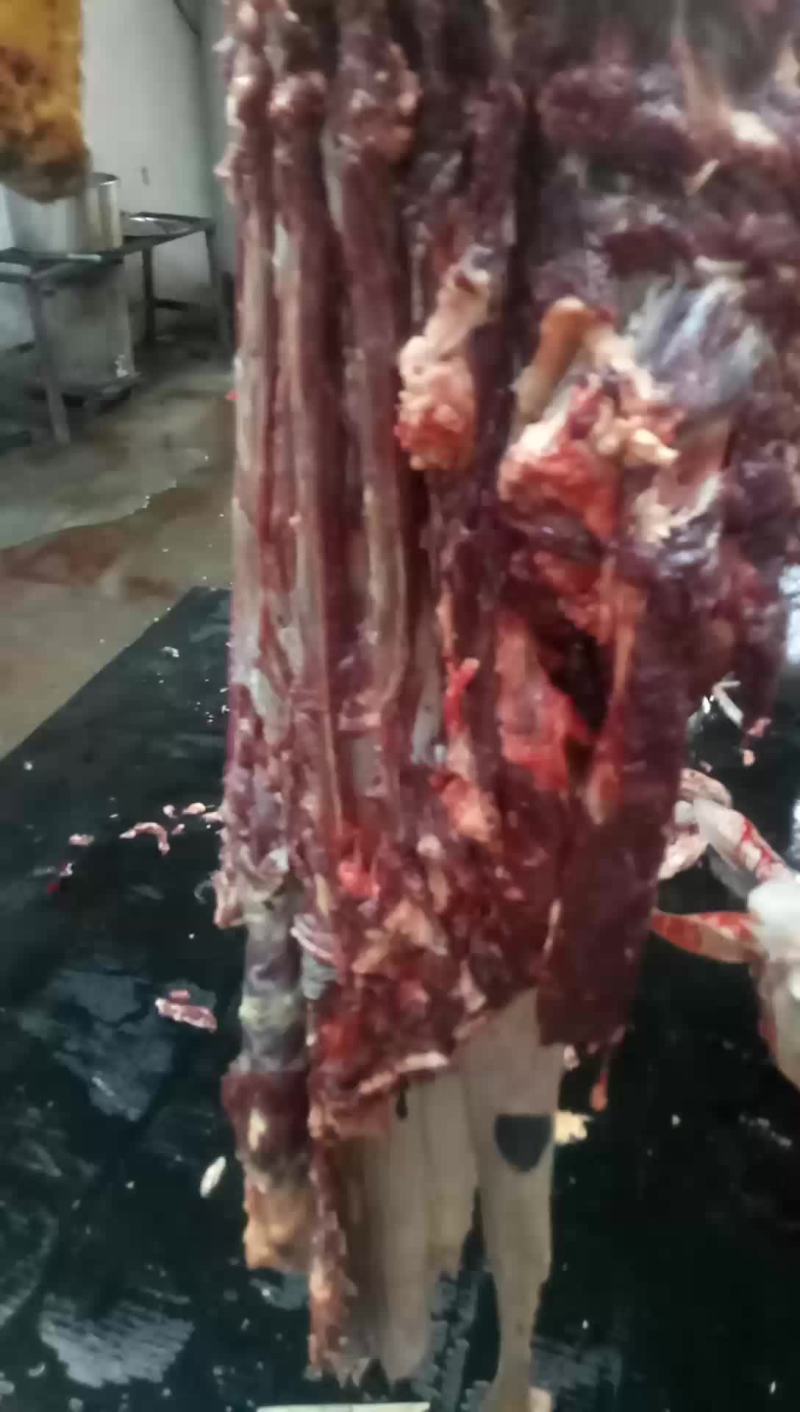 驴肉