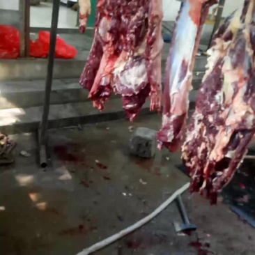 驴肉