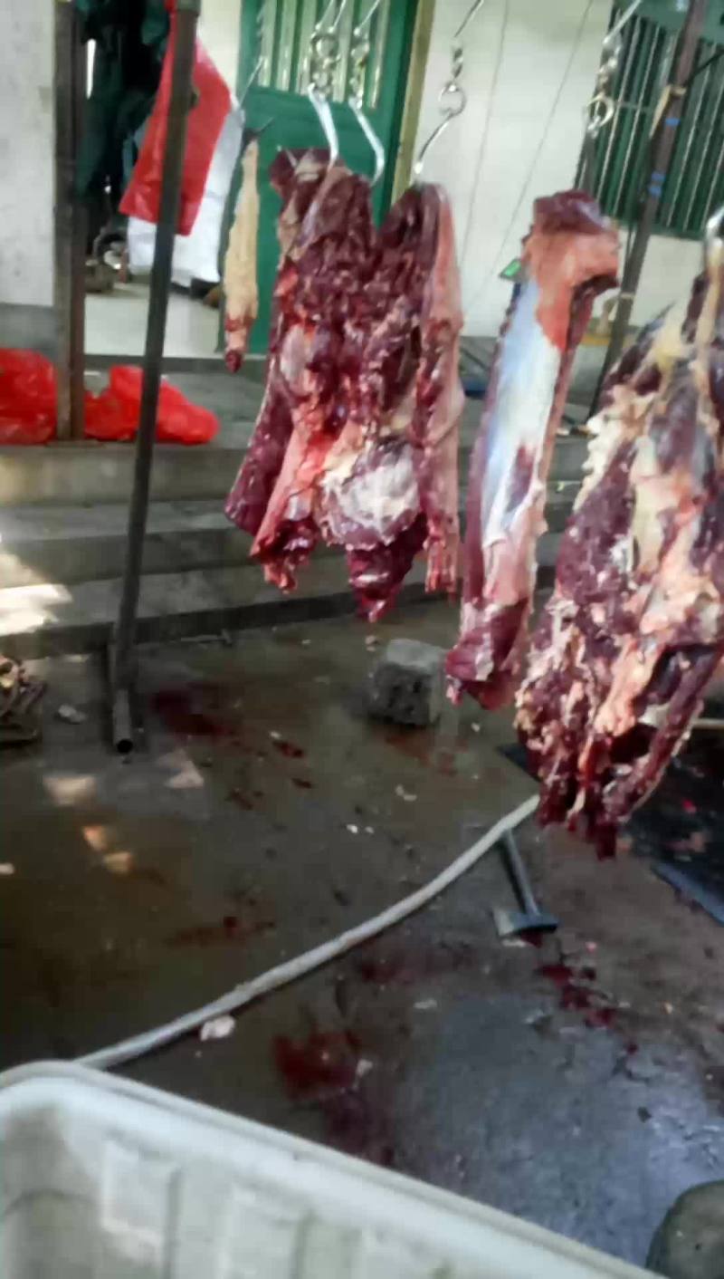 驴肉