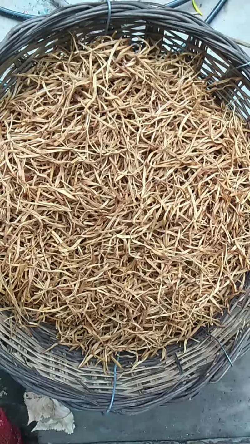 黄花菜干货绿色纯手工晒制而成大量上市