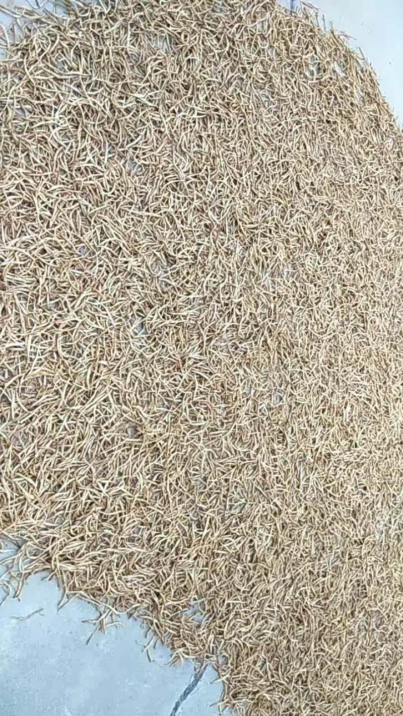黄花菜干货绿色纯手工晒制而成大量上市