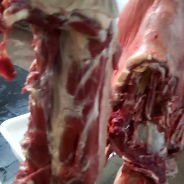 驴肉