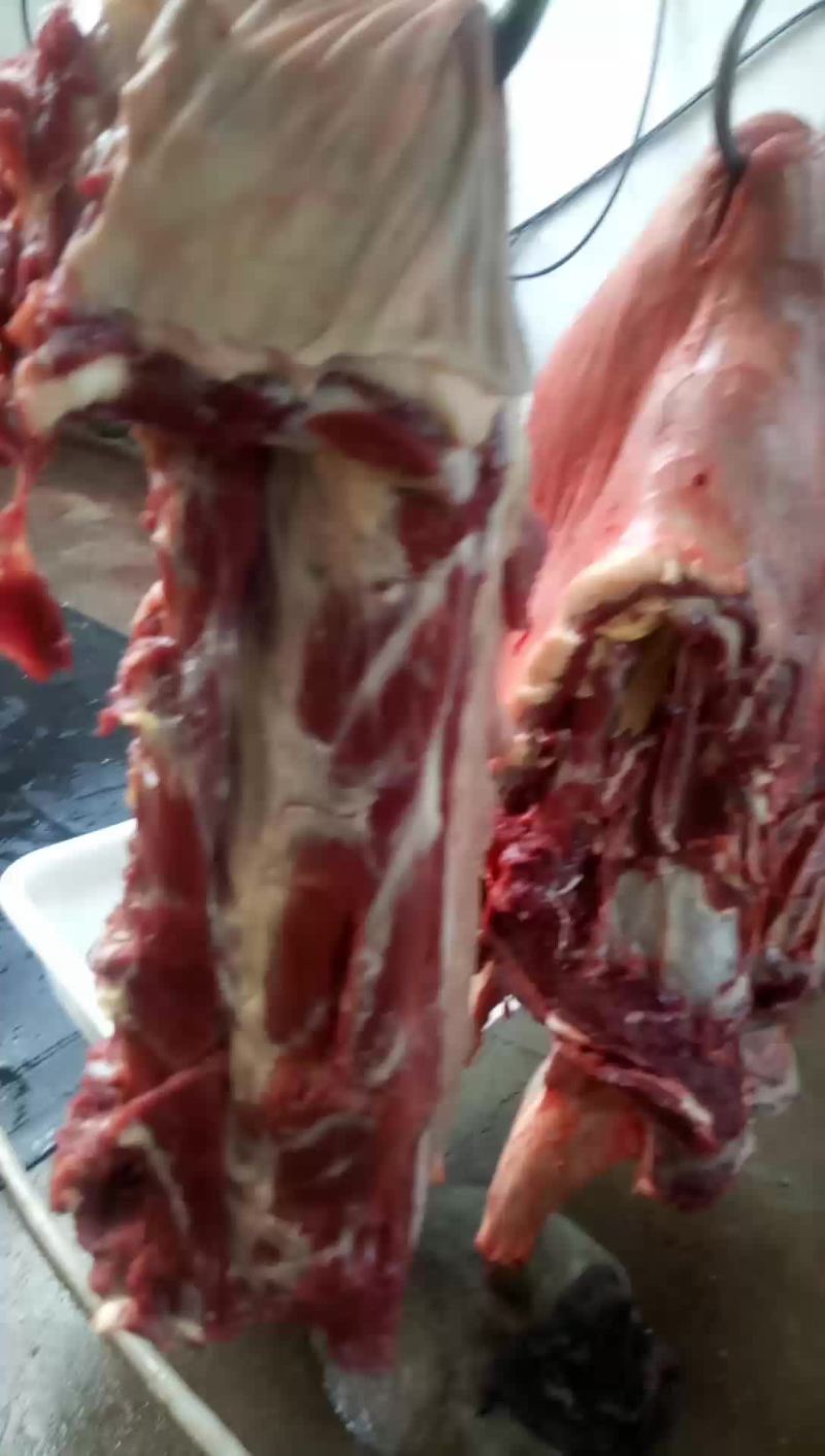 驴肉