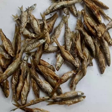 白条鱼干