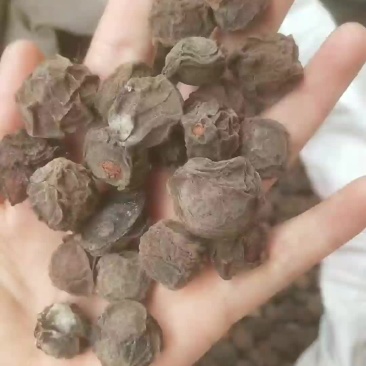 乌梅