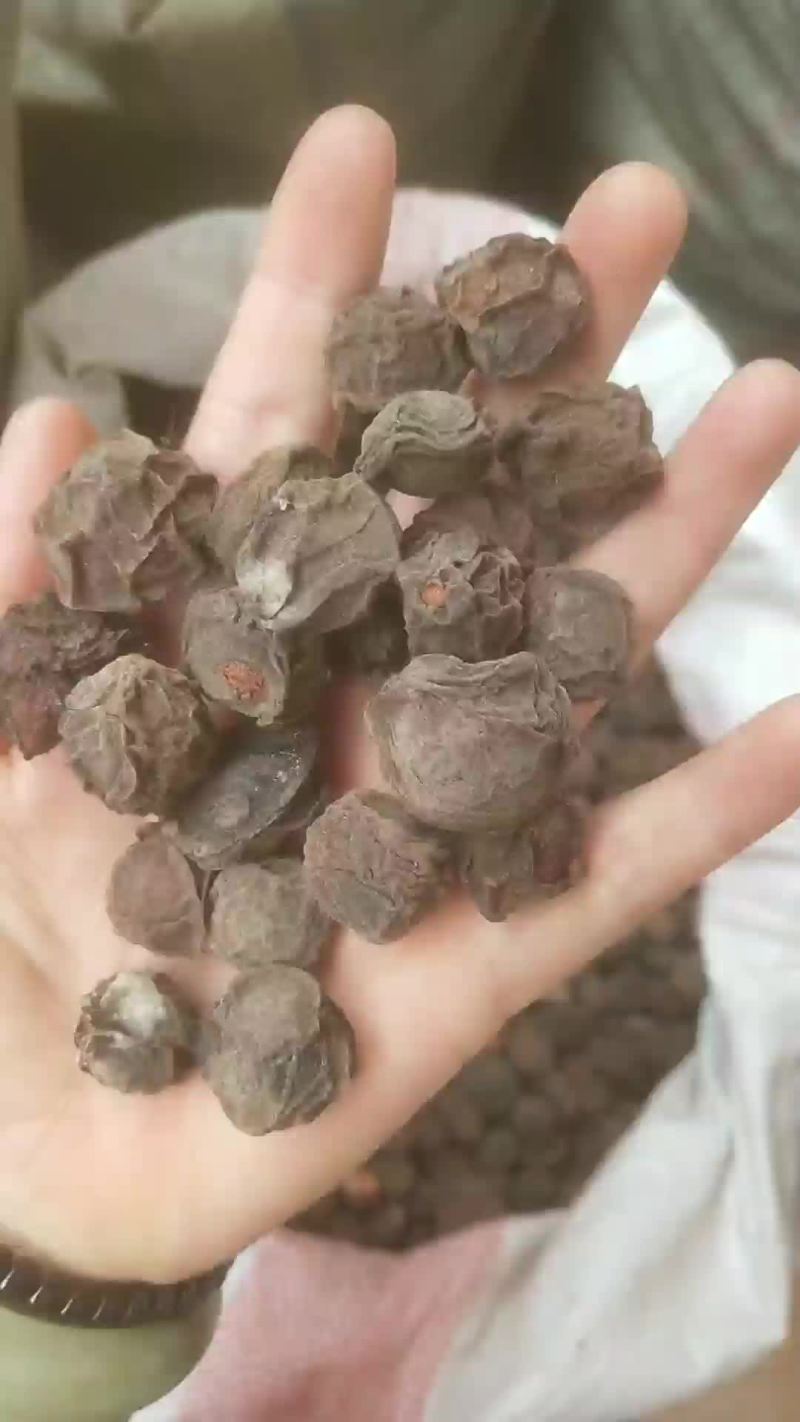 乌梅