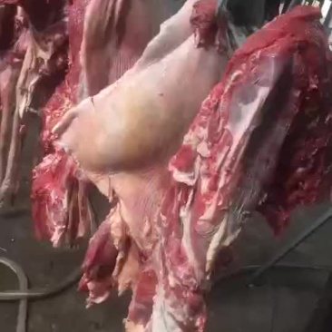 驴肉