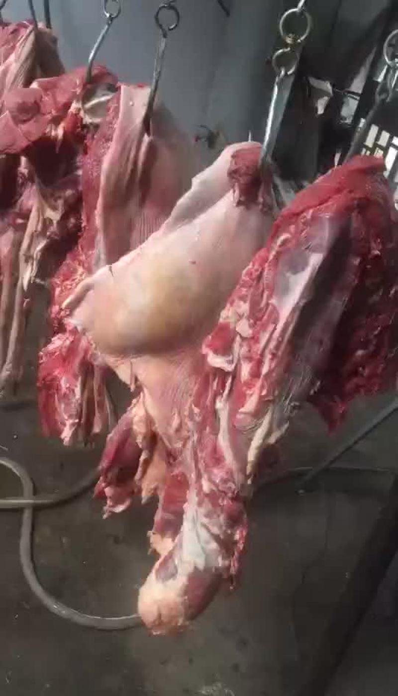 驴肉