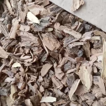 地骨皮大货