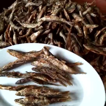 餐条鱼干