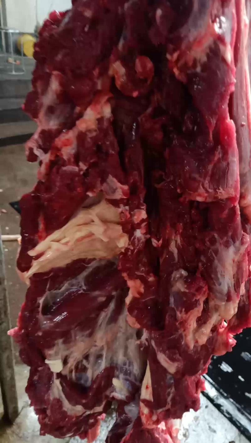 驴肉