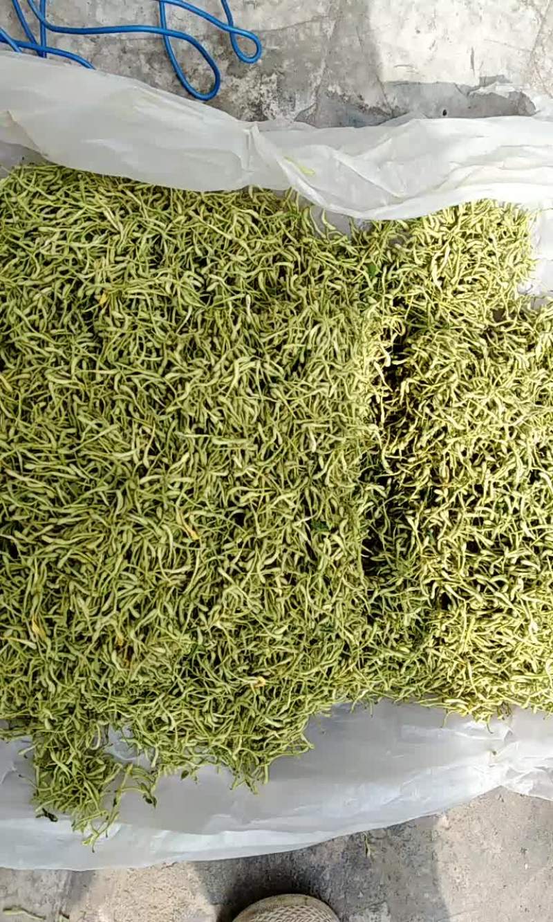 金银花