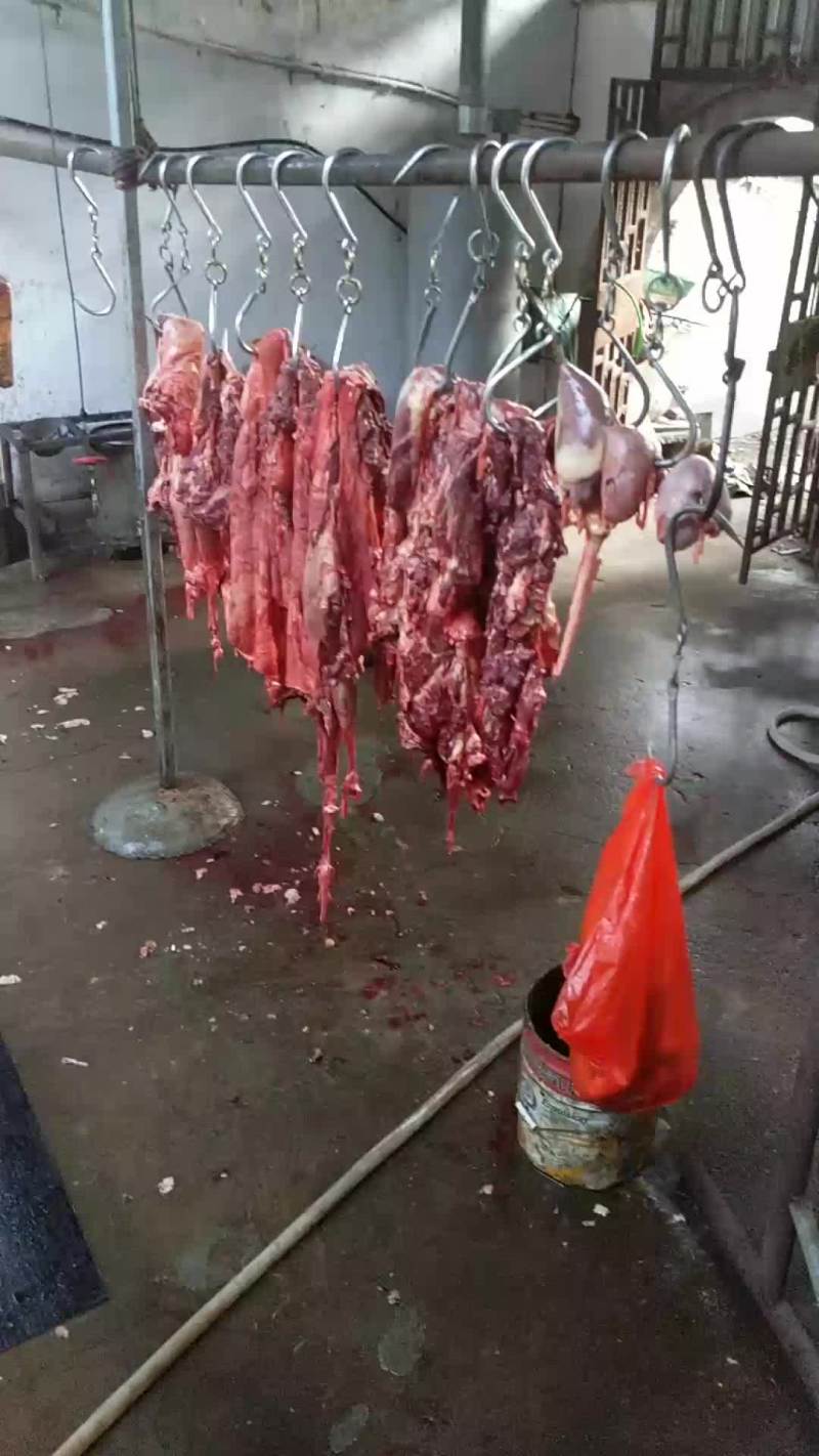 驴肉