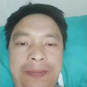 甘草籽