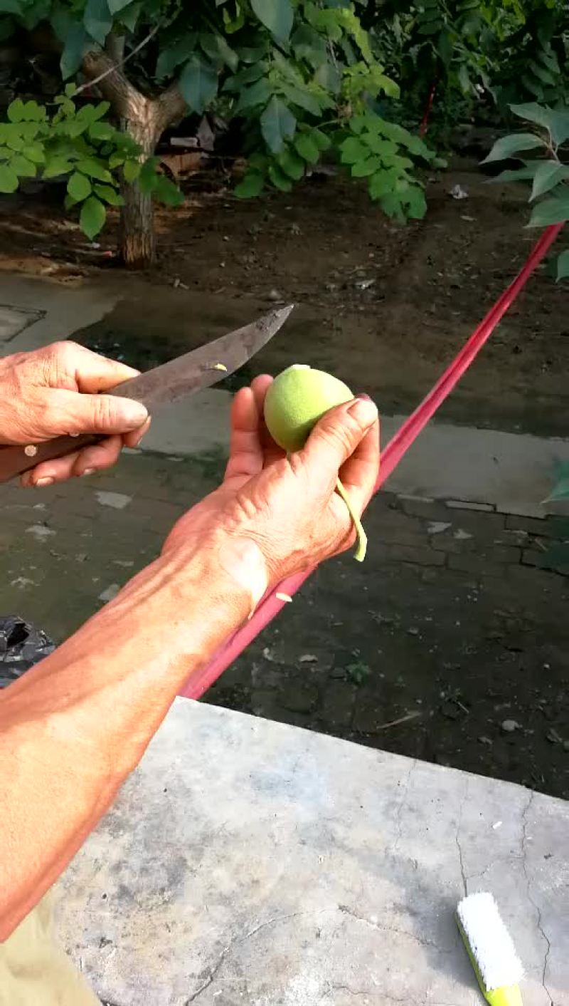 文玩核桃