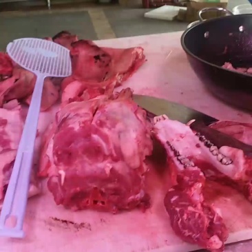 周鹿百草猪