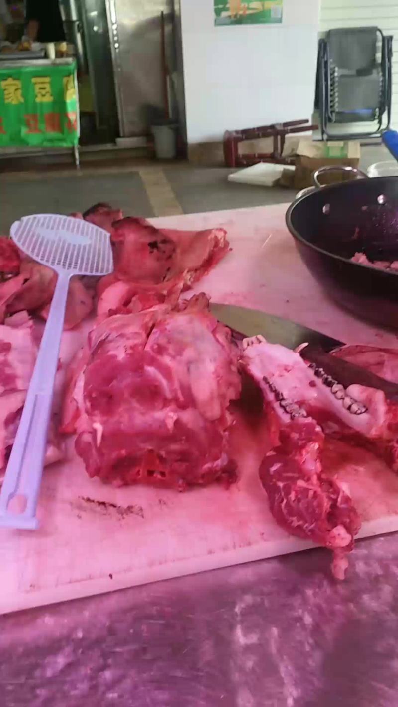周鹿百草猪