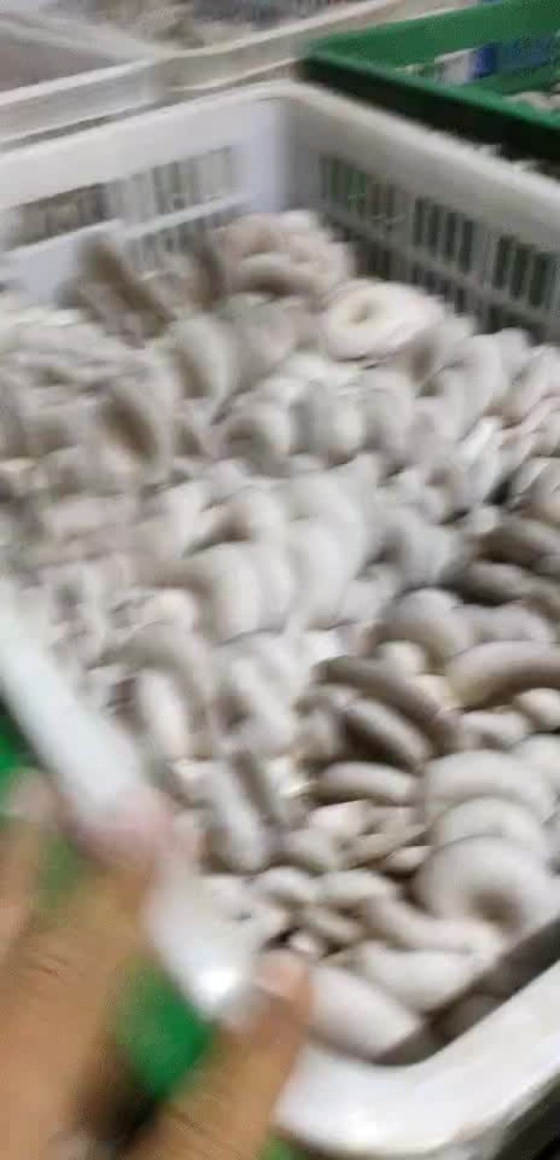 精品黑平菇头茬大量上市，，，，