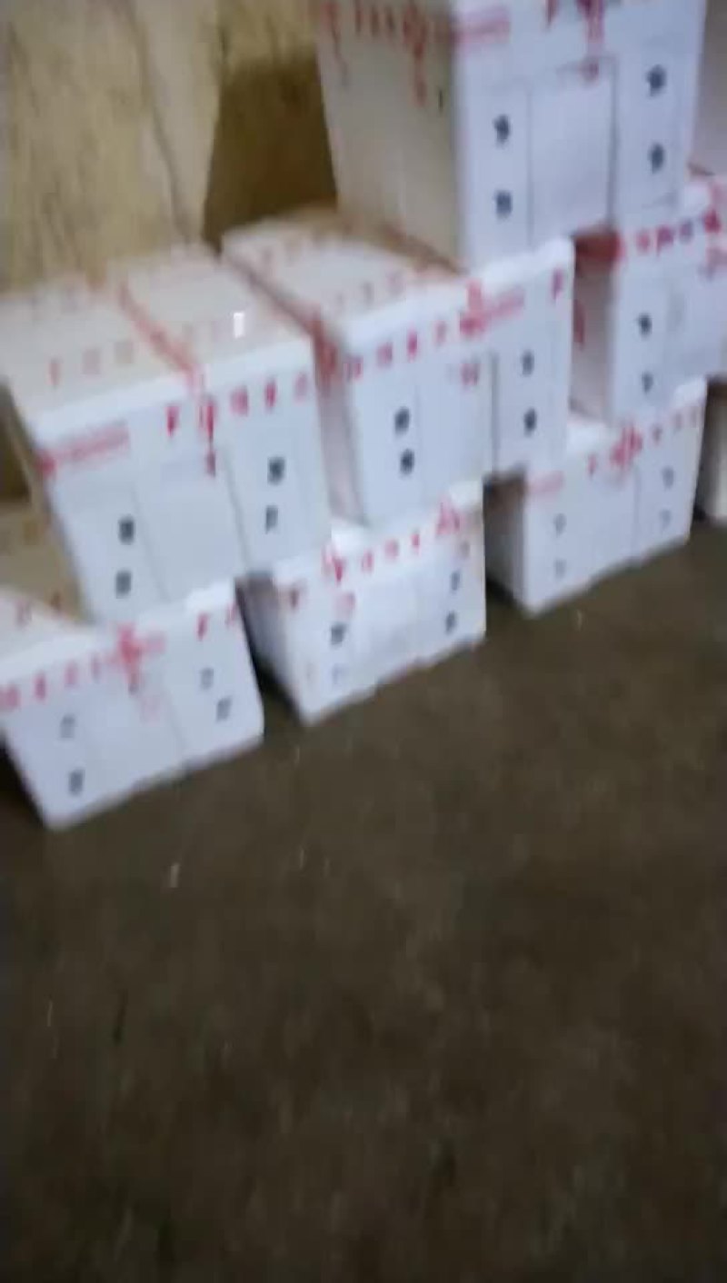 黄瓜
