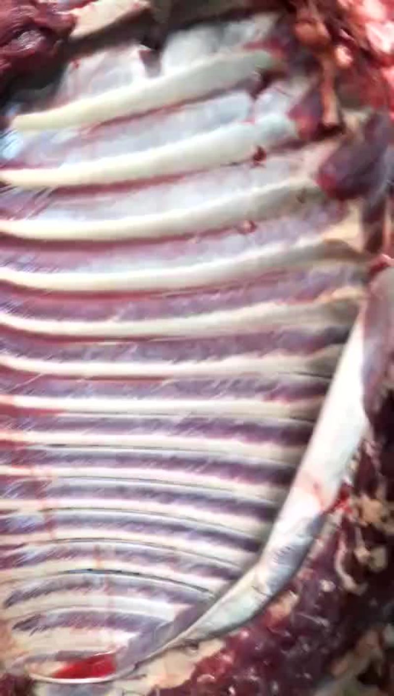 驴肉