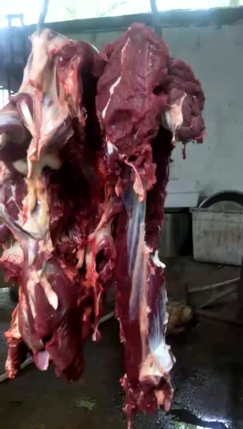 驴肉