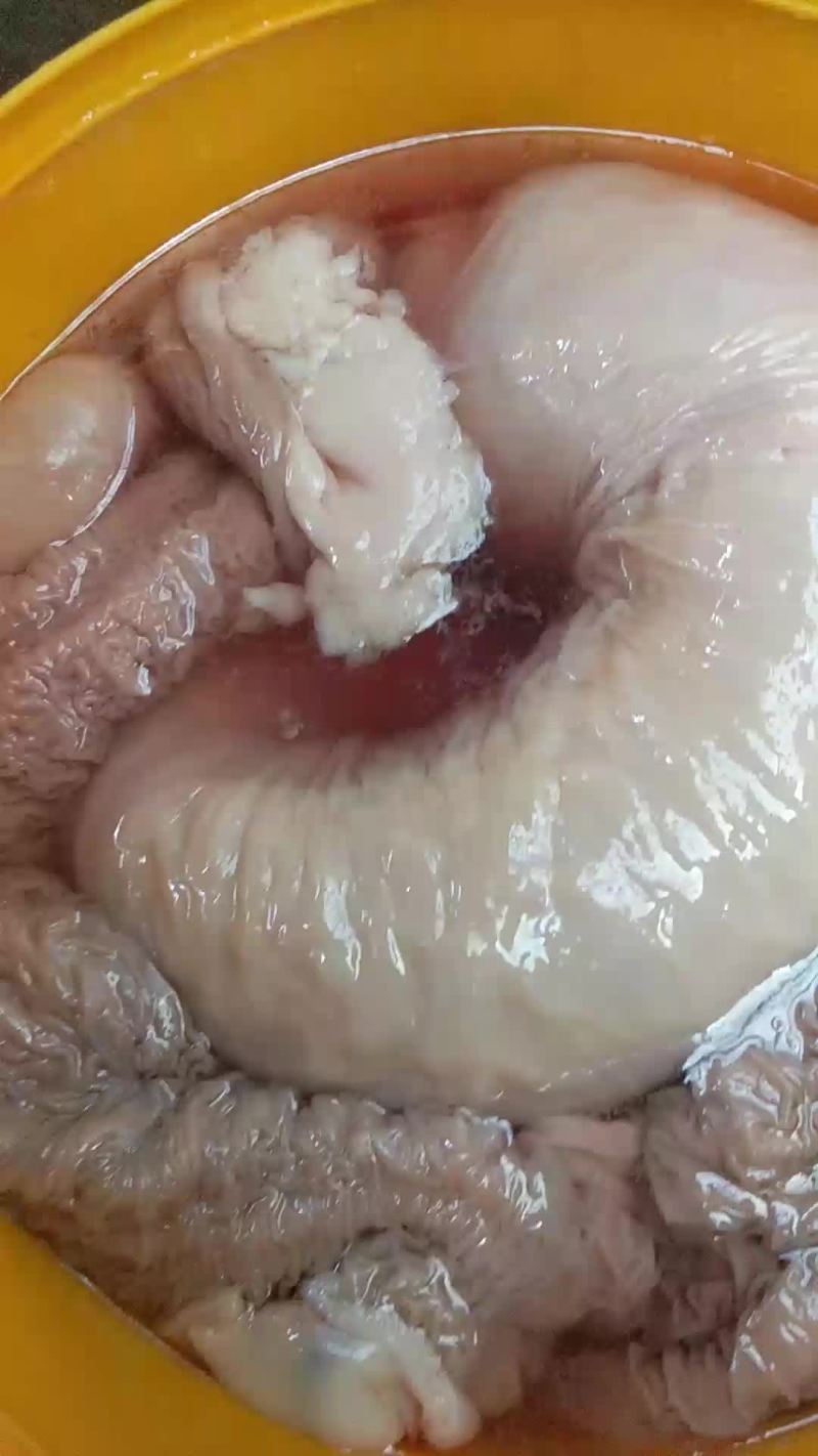 驴肉