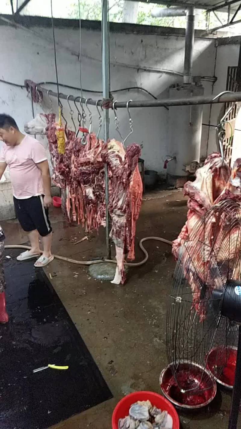 驴肉