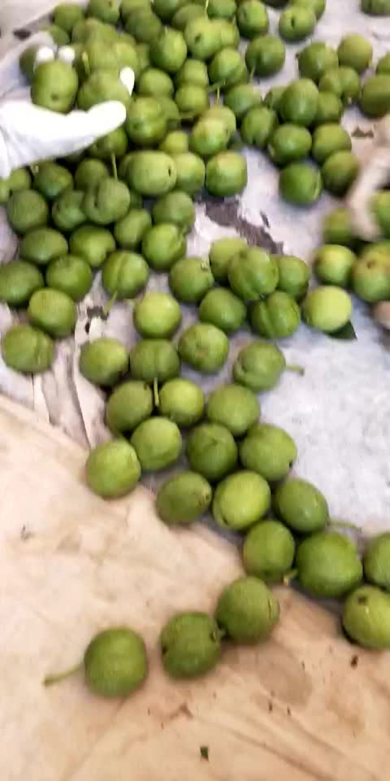 青皮核桃