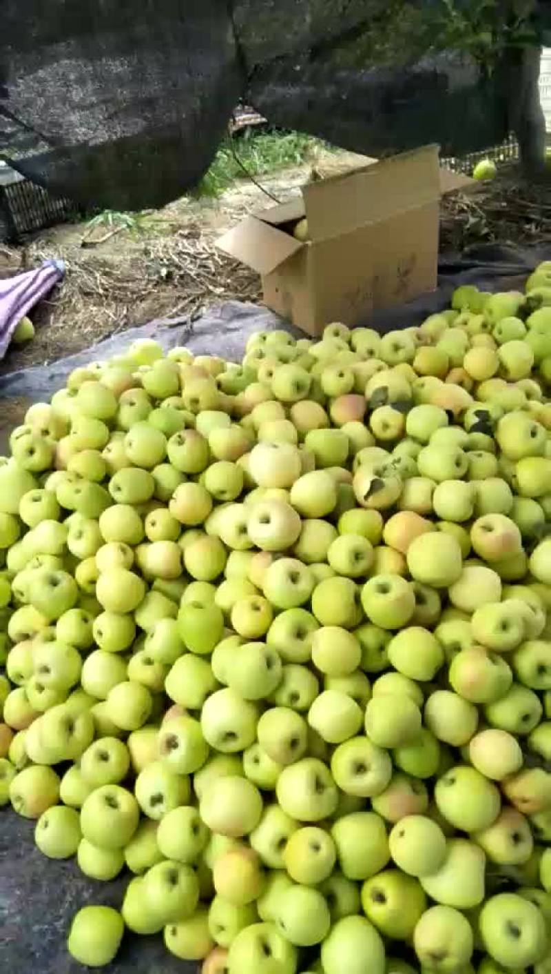华硕苹果