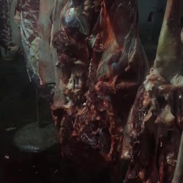 驴肉