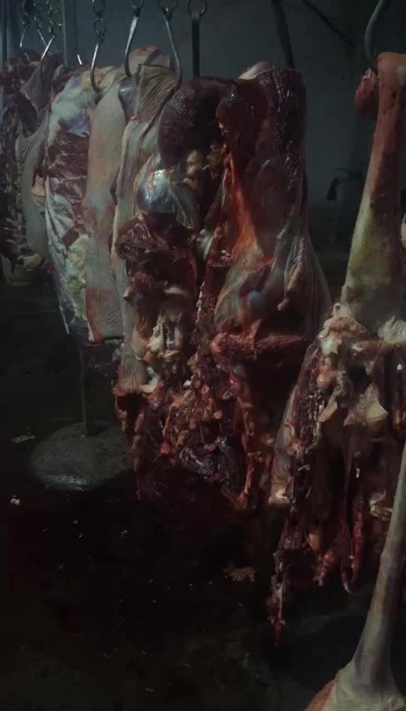 驴肉