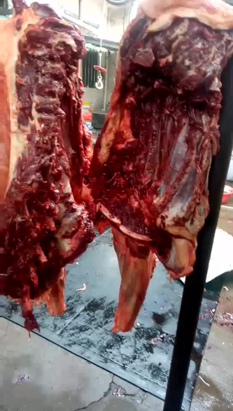 驴肉