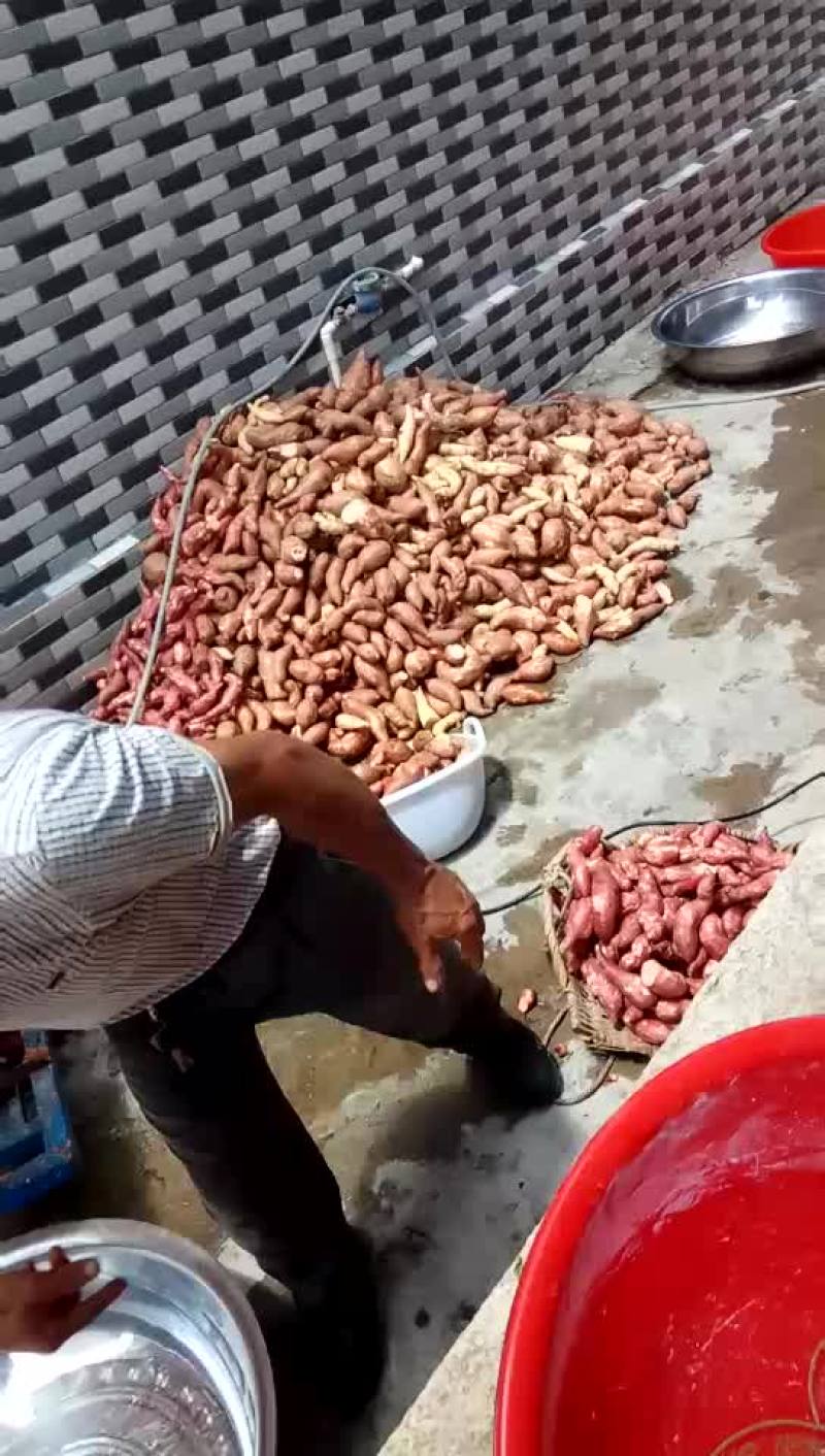 番薯粉