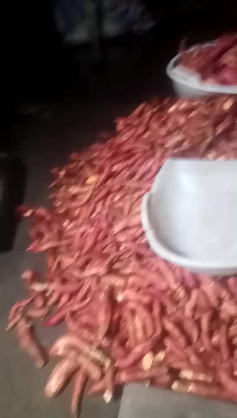 番薯粉