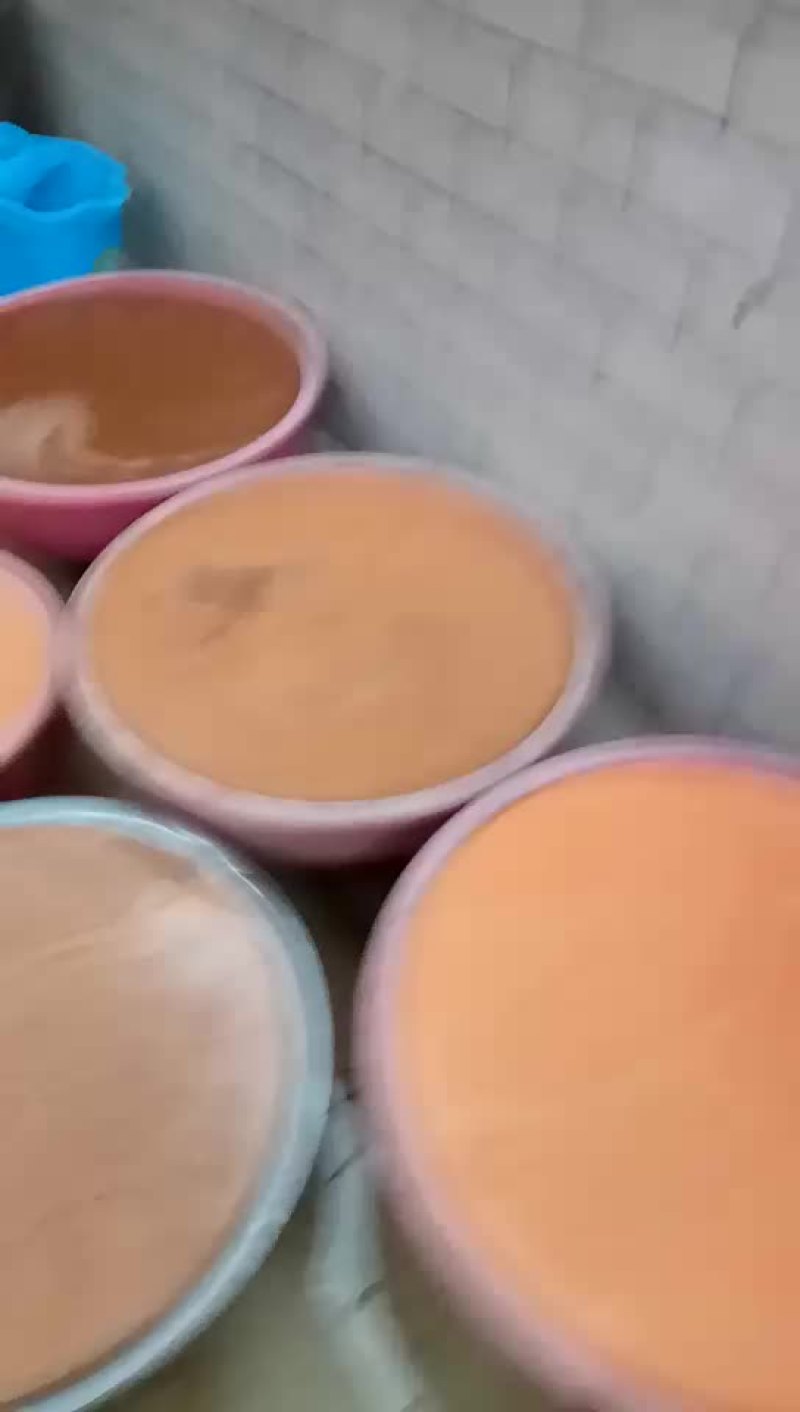 番薯粉