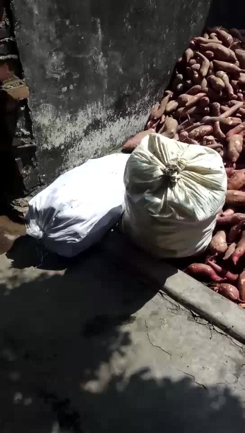 番薯粉