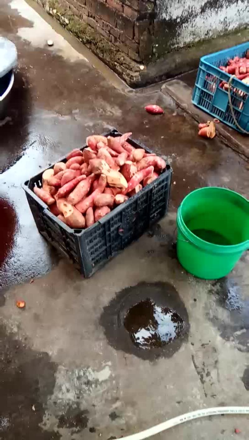 番薯粉