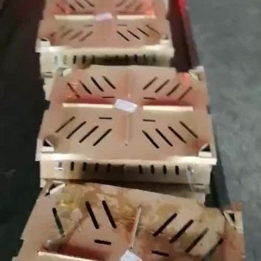 【诚信经营，基地直供】红玉鸡苗价格，购买鸡苗的老板欢迎洽