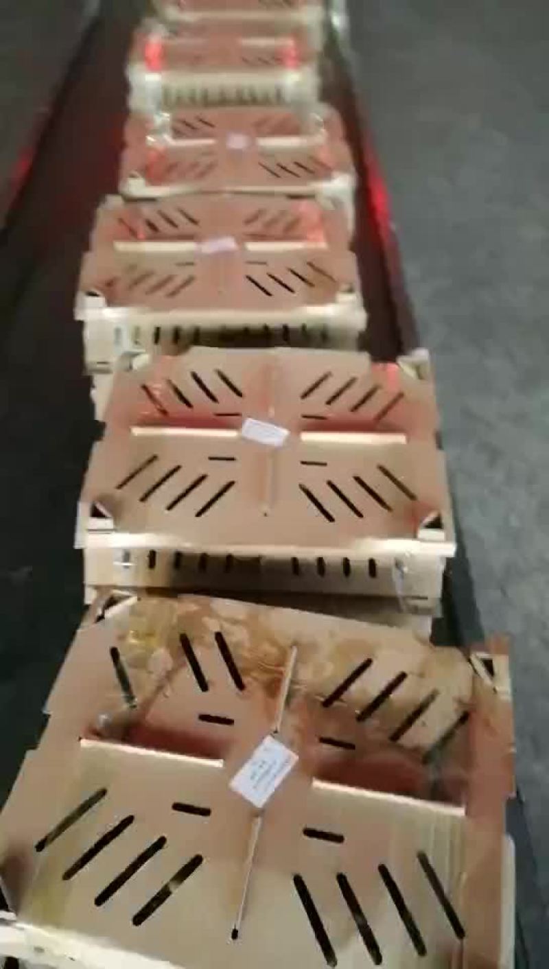 【诚信经营，基地直供】红玉鸡苗价格，购买鸡苗的老板欢迎洽