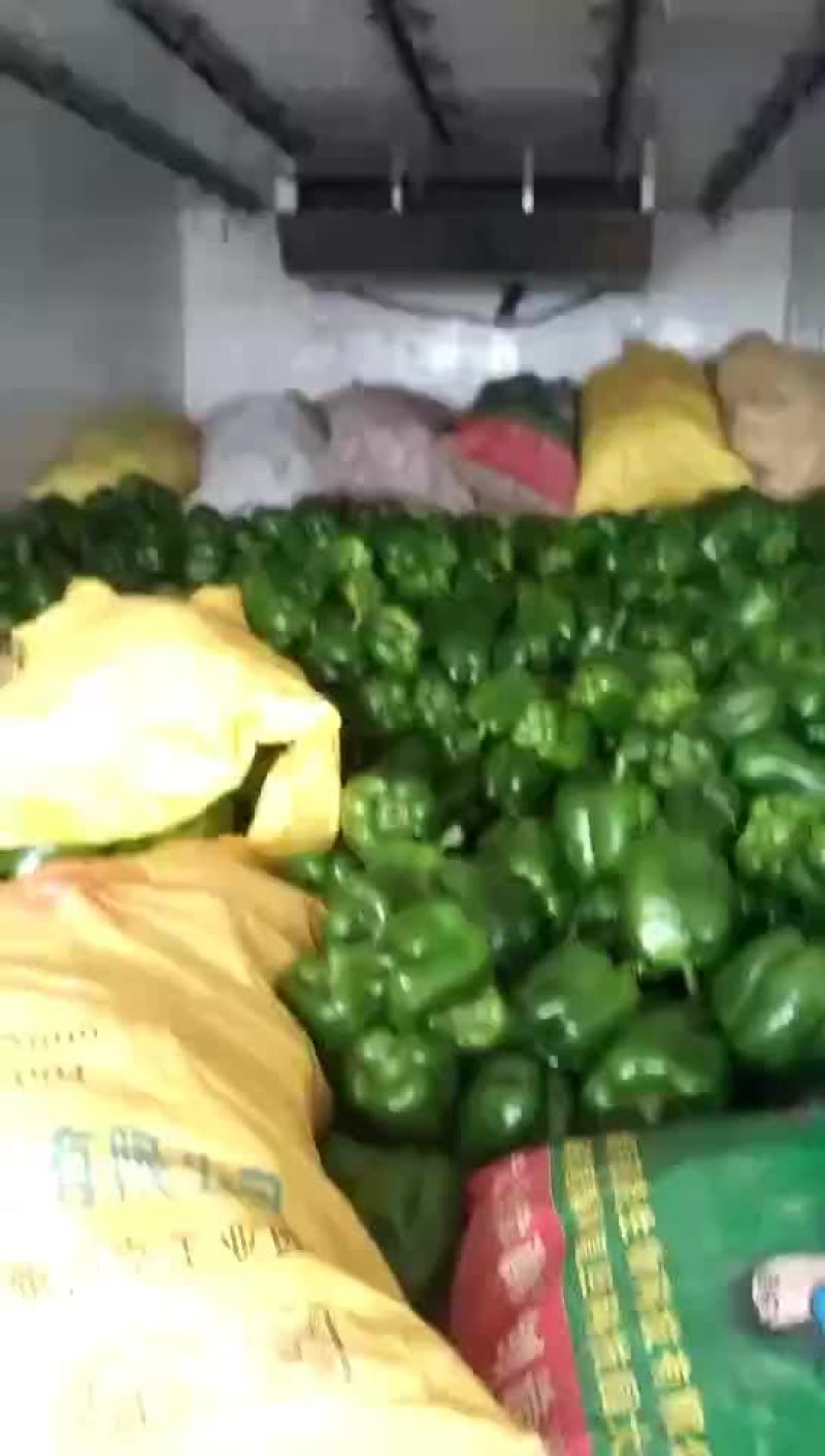 绿椒