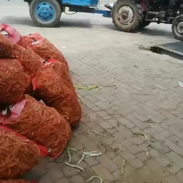 豆角