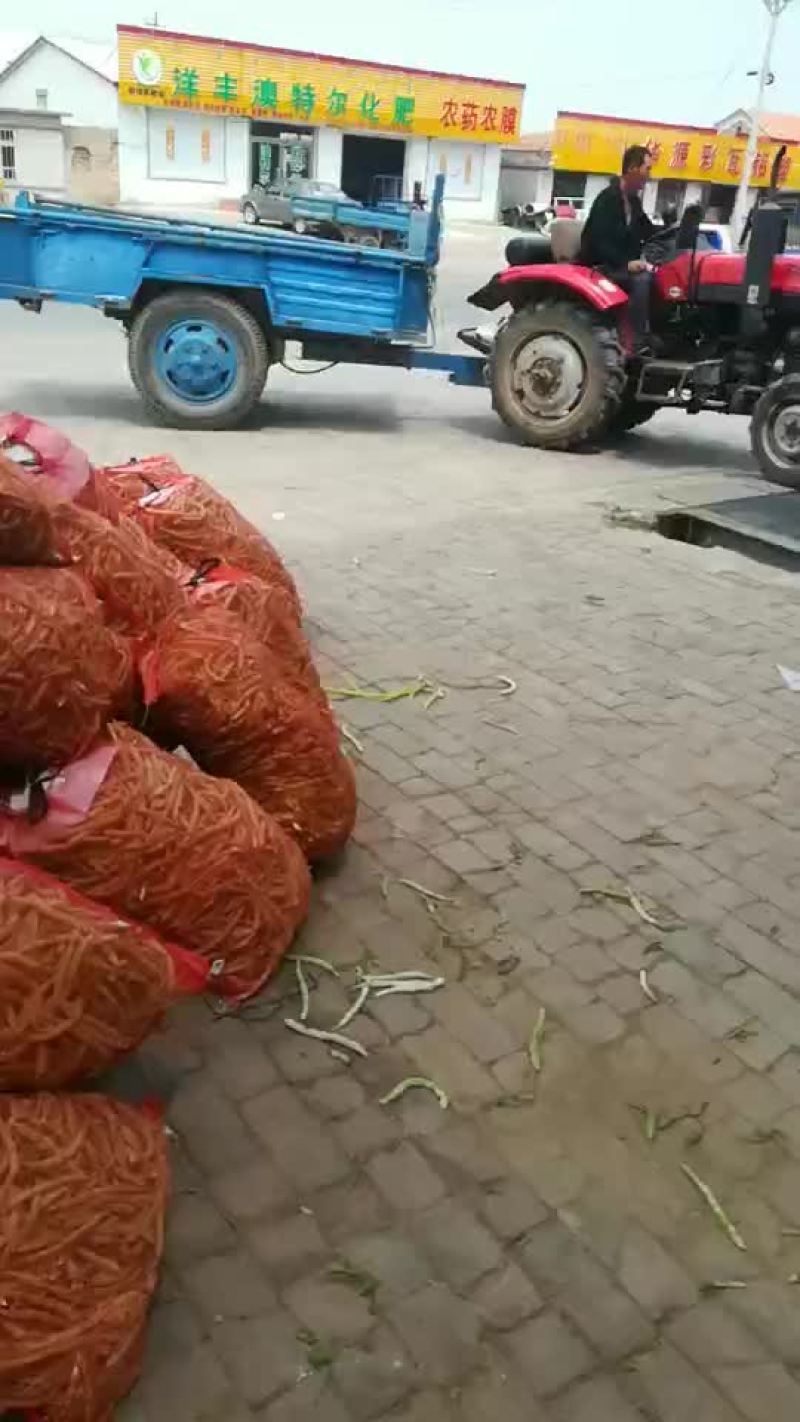 豆角