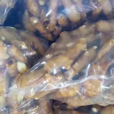 姜巴一两到四两