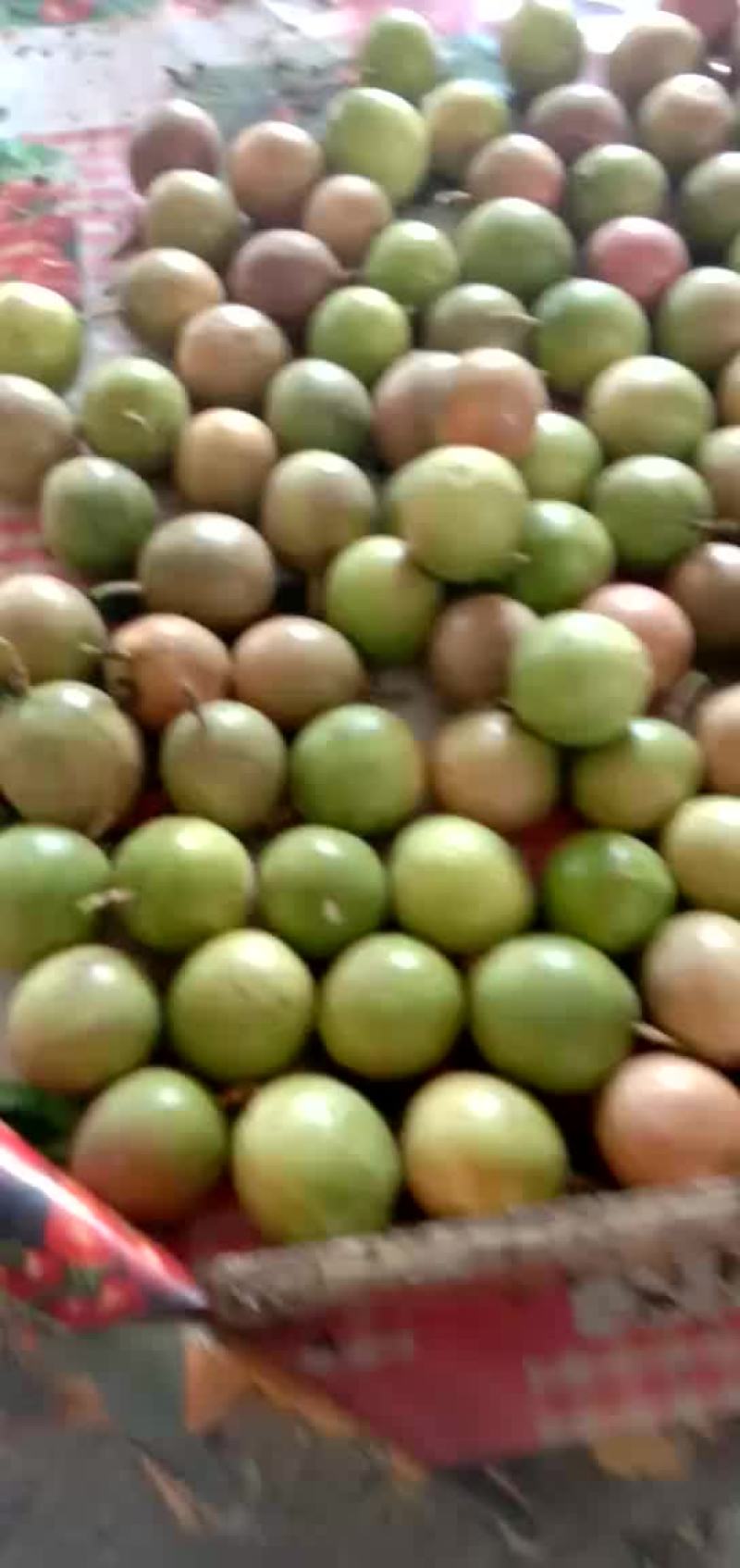 紫香百香果，