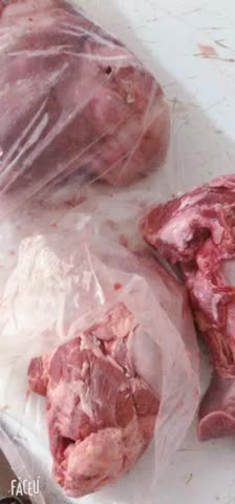 猪肚子食管肚
