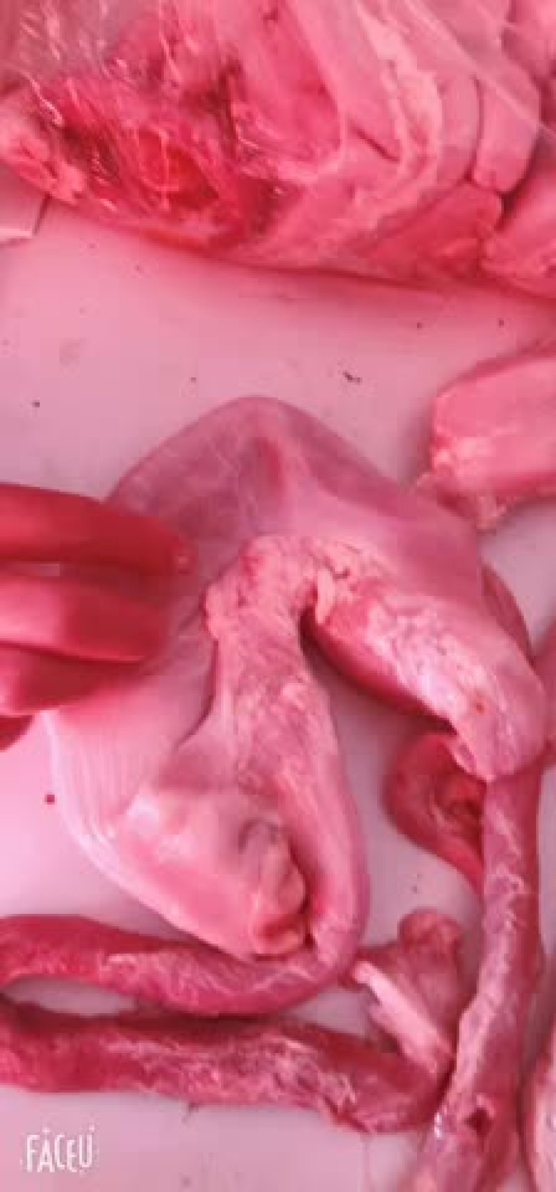 猪肚子食管肚