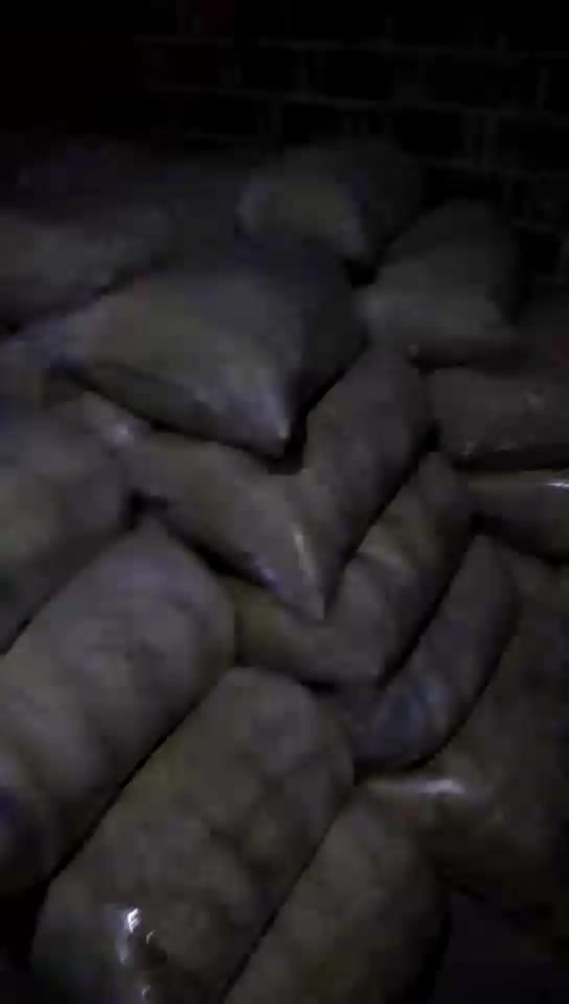 发酵豆腐渣